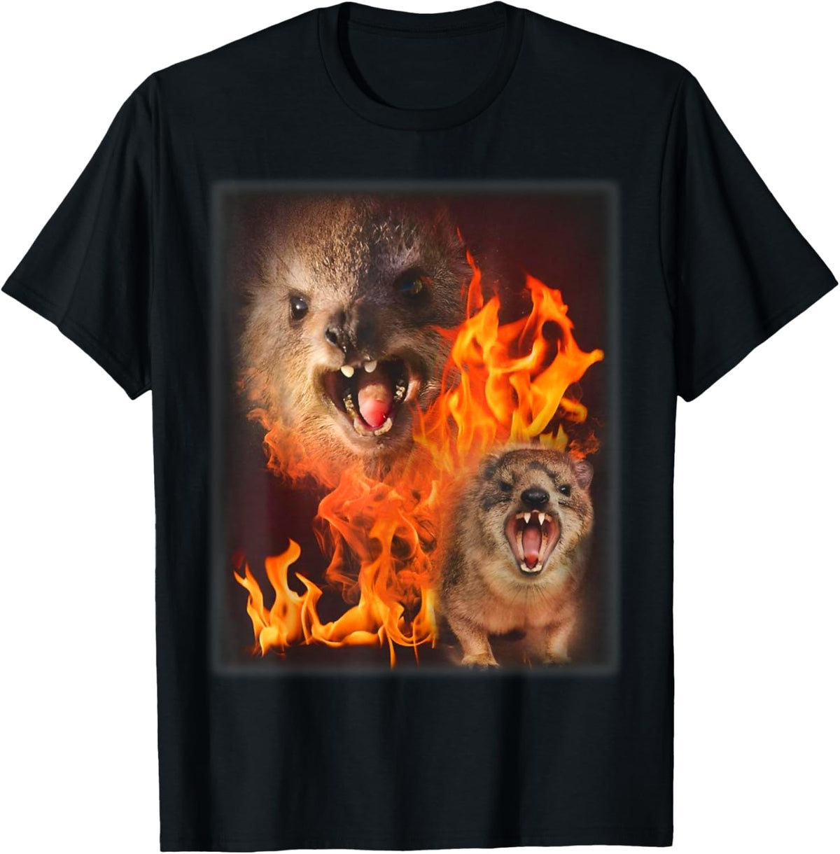 Funny Rock Hyrax Fire Meme